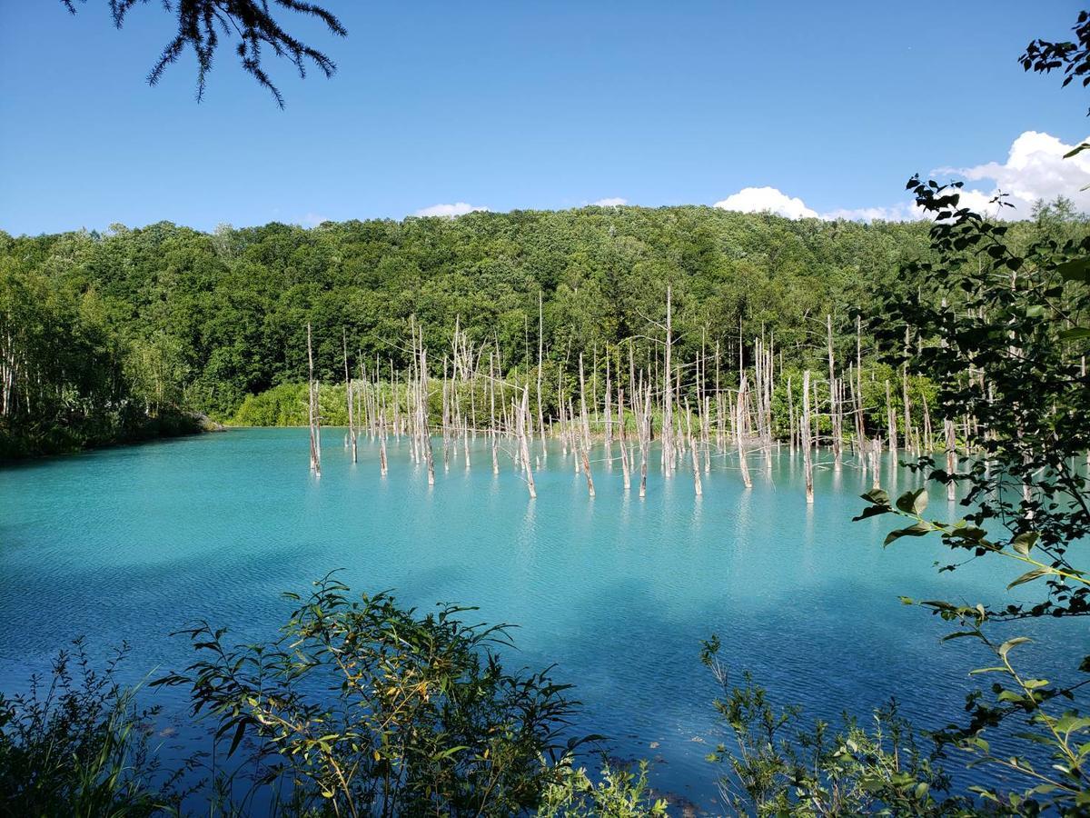 招待所 富良野山别墅