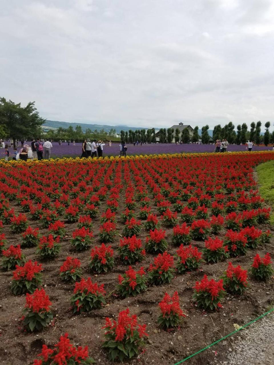 富良野mount ゲストハウス
