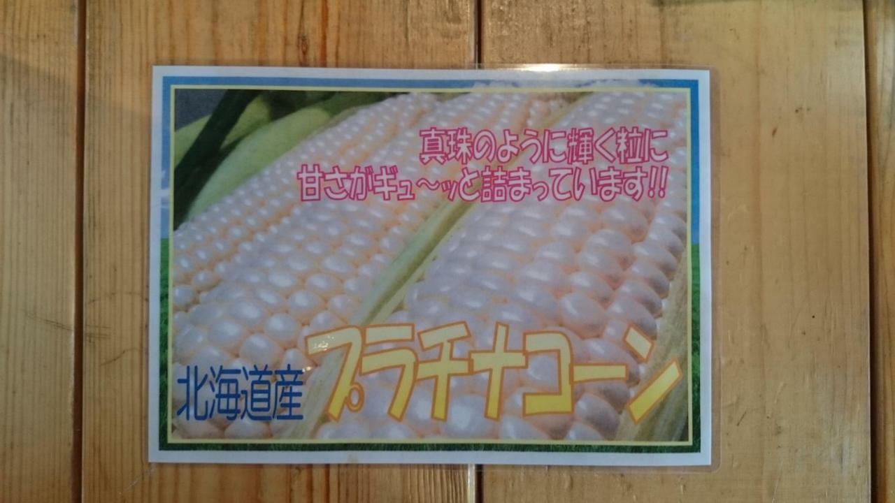 富良野mount 2* 富良野市